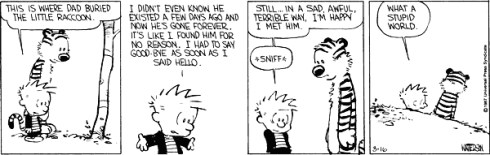calvin2
