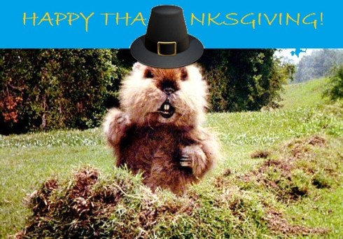 thanksgiving-gopher