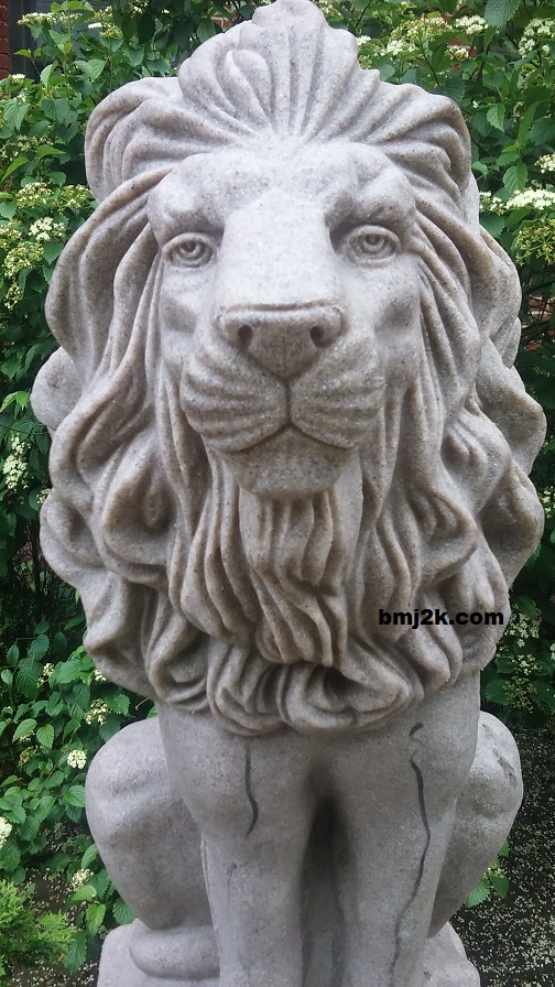 stone lion